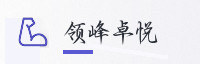 合作伙伴